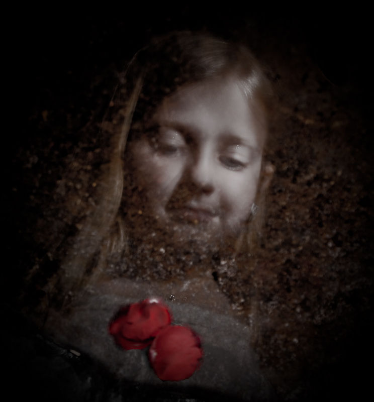 Soft portrait looking downward with red petals in the foreground